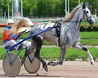 Harness Racing Diamond Paintings