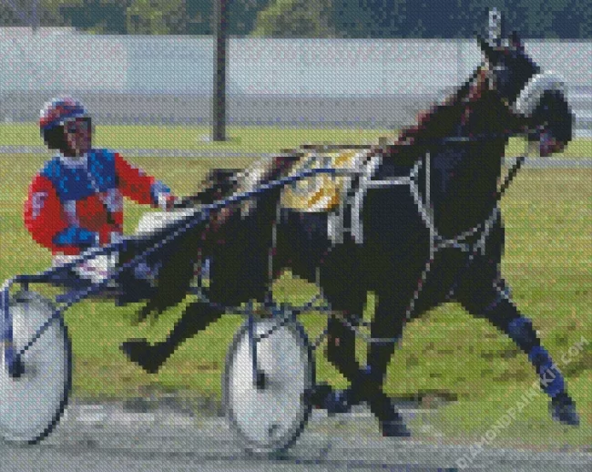 Black Horse Harness Racing Diamond Paintings