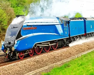 Aesthetic A4 Steam Locomotive Bittern Diamond Painting