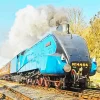 Blue A4 Steam Locomotive Bittern Diamond Painting