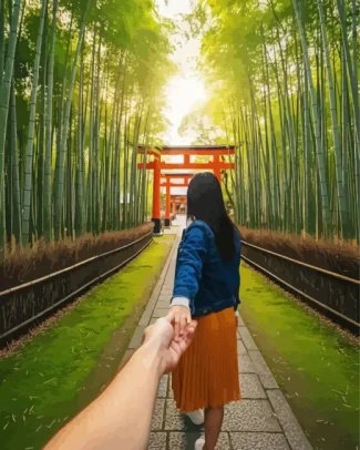 Follow Me To Japan Diamond Painting