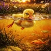 Sunset Duck Diamond Painting